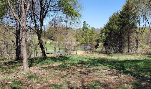 Photo #3 of 12 CROWN RIDGE BERRY FARM RD, STAUNTON, VA 2.4 acres