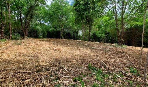 Photo #10 of 12 CROWN RIDGE BERRY FARM RD, STAUNTON, VA 2.4 acres