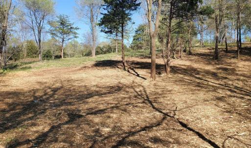 Photo #12 of 12 CROWN RIDGE BERRY FARM RD, STAUNTON, VA 2.4 acres