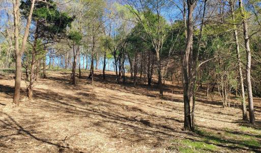 Photo #7 of 12 CROWN RIDGE BERRY FARM RD, STAUNTON, VA 2.4 acres