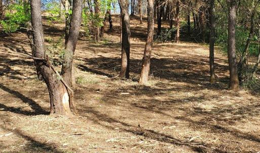 Photo #15 of 12 CROWN RIDGE BERRY FARM RD, STAUNTON, VA 2.4 acres