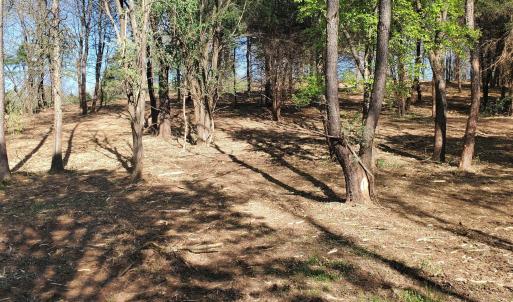Photo #17 of 12 CROWN RIDGE BERRY FARM RD, STAUNTON, VA 2.4 acres
