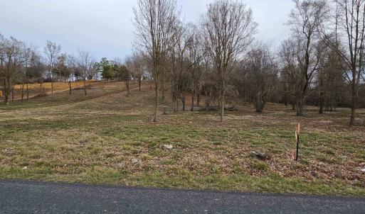 Photo #4 of 12 CROWN RIDGE BERRY FARM RD, STAUNTON, VA 2.4 acres
