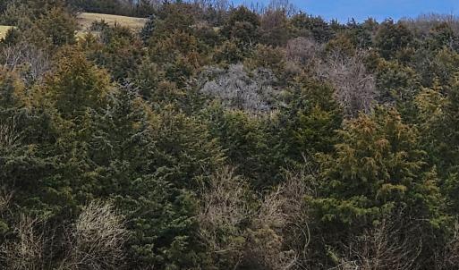 Photo #43 of 4 CROWN RIDGE BERRY FARM RD, STAUNTON, VA 9.1 acres