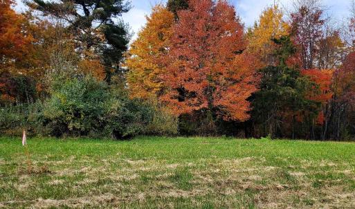 Photo #31 of 4 CROWN RIDGE BERRY FARM RD, STAUNTON, VA 9.1 acres