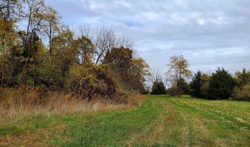 Photo #10 of 4 CROWN RIDGE BERRY FARM RD, STAUNTON, VA 9.1 acres