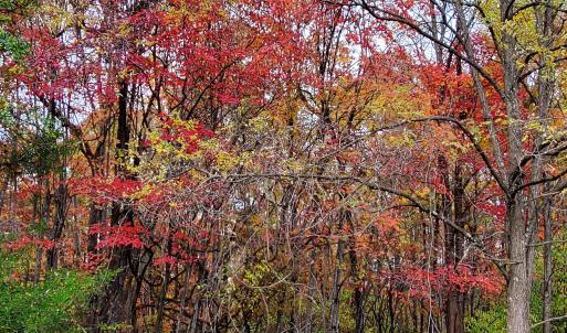 Photo #22 of 4 CROWN RIDGE BERRY FARM RD, STAUNTON, VA 9.1 acres