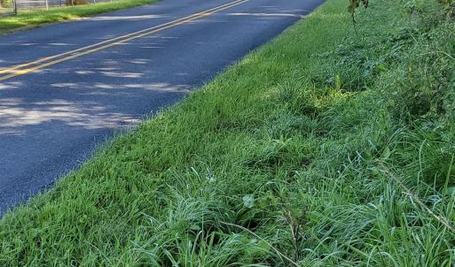 Photo #29 of 4 CROWN RIDGE BERRY FARM RD, STAUNTON, VA 9.1 acres