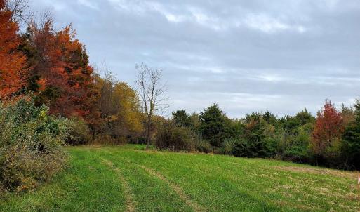 Photo #8 of 4 CROWN RIDGE BERRY FARM RD, STAUNTON, VA 9.1 acres