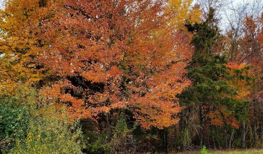 Photo #19 of 4 CROWN RIDGE BERRY FARM RD, STAUNTON, VA 9.1 acres
