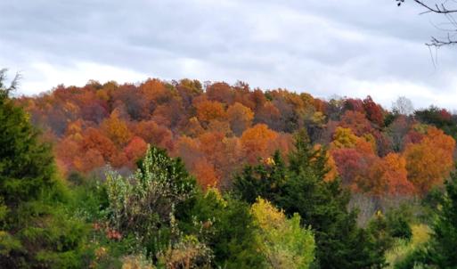 Photo #9 of 4 CROWN RIDGE BERRY FARM RD, STAUNTON, VA 9.1 acres
