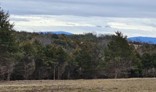 Photo #4 of 4 CROWN RIDGE BERRY FARM RD, STAUNTON, VA 9.1 acres