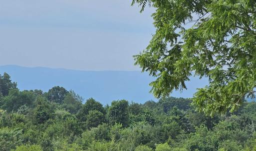Photo #5 of 4 CROWN RIDGE BERRY FARM RD, STAUNTON, VA 9.1 acres