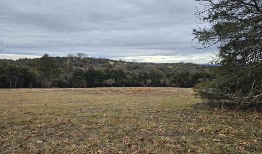 Photo #34 of 4 CROWN RIDGE BERRY FARM RD, STAUNTON, VA 9.1 acres