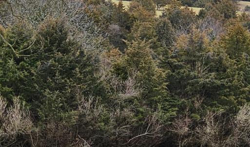 Photo #39 of 4 CROWN RIDGE BERRY FARM RD, STAUNTON, VA 9.1 acres