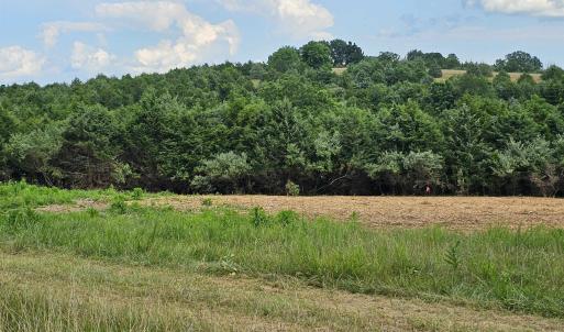 Photo #33 of 4 CROWN RIDGE BERRY FARM RD, STAUNTON, VA 9.1 acres