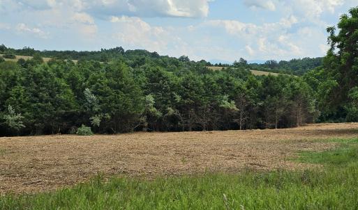 Photo #40 of 4 CROWN RIDGE BERRY FARM RD, STAUNTON, VA 9.1 acres