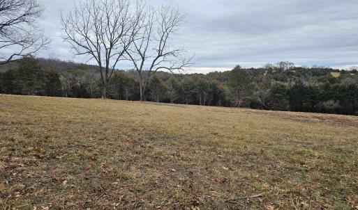 Photo #35 of 4 CROWN RIDGE BERRY FARM RD, STAUNTON, VA 9.1 acres