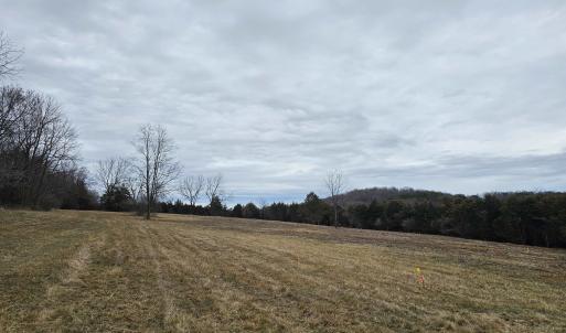 Photo #23 of 4 CROWN RIDGE BERRY FARM RD, STAUNTON, VA 9.1 acres