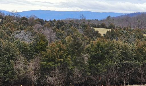 Photo #2 of 4 CROWN RIDGE BERRY FARM RD, STAUNTON, VA 9.1 acres