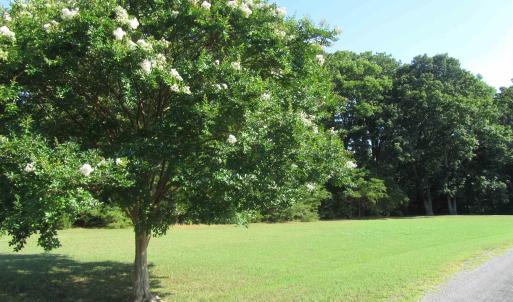 Photo #9 of 0 BELLE AIR DR, HARDYVILLE, VA 1.3 acres