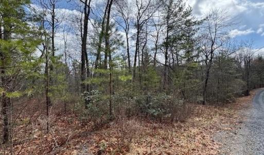 Photo #2 of Lot 45 FETTERBUSH LN, HINTON, VA 3.4 acres