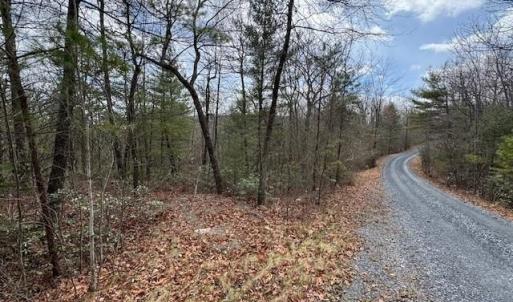 Photo #1 of Lot 45 FETTERBUSH LN, HINTON, VA 3.4 acres