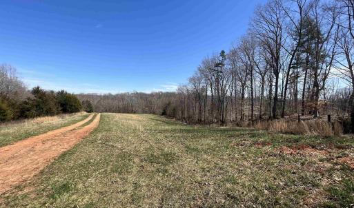 Photo #14 of CARYSBROOK RD, PALMYRA, VA 61.1 acres