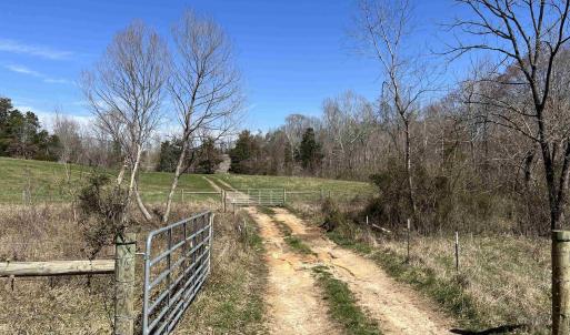 Photo #15 of CARYSBROOK RD, PALMYRA, VA 61.1 acres