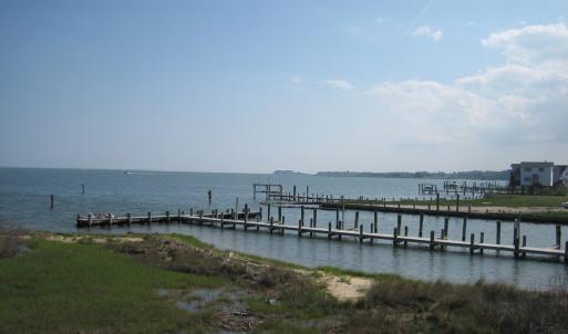 Photo #21 of 161 CAPTAINS CORRIDOR, GREENBACKVILLE, VA 68.0 acres
