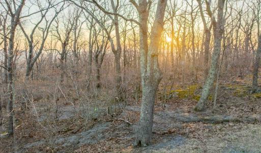 Photo #13 of BLACKROCK CIR, WINTERGREEN RESORT, VA 0.4 acres