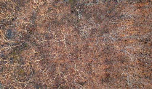 Photo #11 of BLACKROCK CIR, WINTERGREEN RESORT, VA 0.4 acres