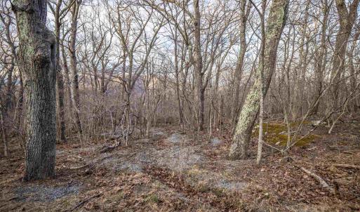 Photo #15 of BLACKROCK CIR, WINTERGREEN RESORT, VA 0.4 acres