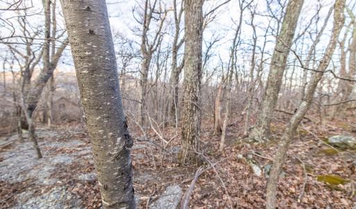 Photo #17 of BLACKROCK CIR, WINTERGREEN RESORT, VA 0.4 acres