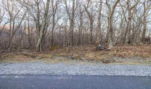 Photo #16 of BLACKROCK CIR, WINTERGREEN RESORT, VA 0.4 acres