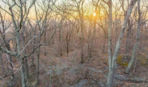 Photo #12 of BLACKROCK CIR, WINTERGREEN RESORT, VA 0.4 acres