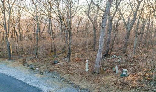 Photo #14 of BLACKROCK CIR, WINTERGREEN RESORT, VA 0.4 acres