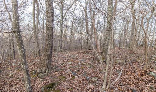 Photo #18 of BLACKROCK CIR, WINTERGREEN RESORT, VA 0.4 acres