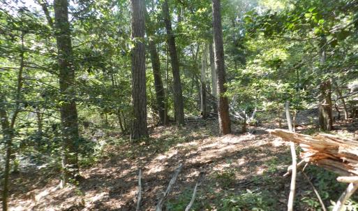 Photo #11 of Lot 13 WILSONIA SHORES DR, MACHIPONGO, VA 1.2 acres