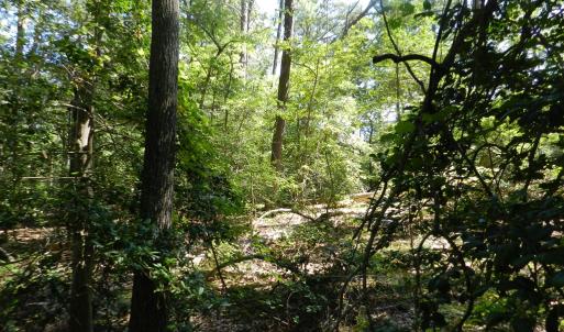 Photo #12 of Lot 13 WILSONIA SHORES DR, MACHIPONGO, VA 1.2 acres