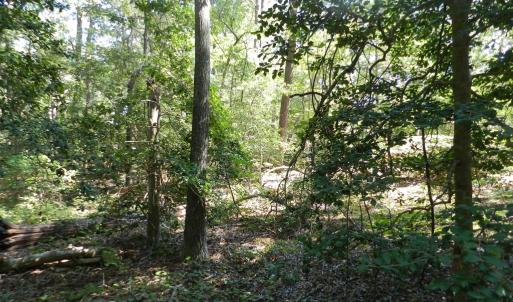 Photo #13 of Lot 13 WILSONIA SHORES DR, MACHIPONGO, VA 1.2 acres