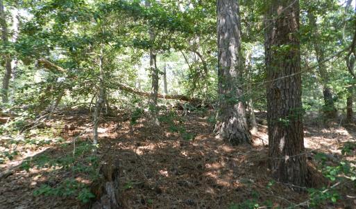 Photo #8 of Lot 13 WILSONIA SHORES DR, MACHIPONGO, VA 1.2 acres