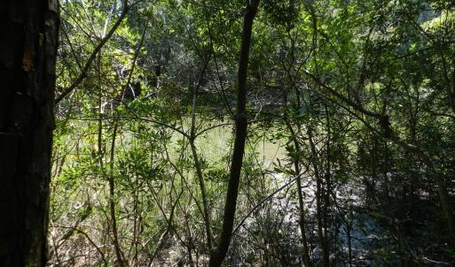 Photo #9 of Lot 13 WILSONIA SHORES DR, MACHIPONGO, VA 1.2 acres