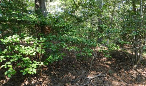 Photo #10 of Lot 13 WILSONIA SHORES DR, MACHIPONGO, VA 1.2 acres