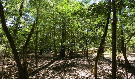Photo #4 of Lot 13 WILSONIA SHORES DR, MACHIPONGO, VA 1.2 acres