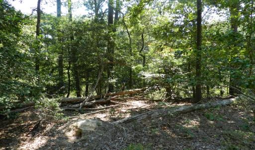 Photo #5 of Lot 13 WILSONIA SHORES DR, MACHIPONGO, VA 1.2 acres