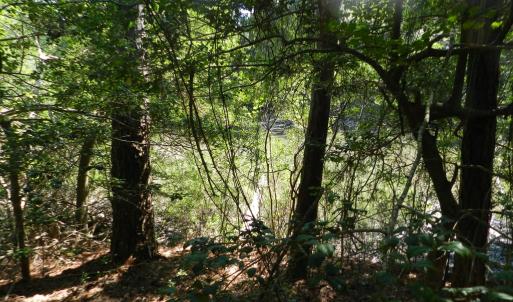 Photo #6 of Lot 13 WILSONIA SHORES DR, MACHIPONGO, VA 1.2 acres