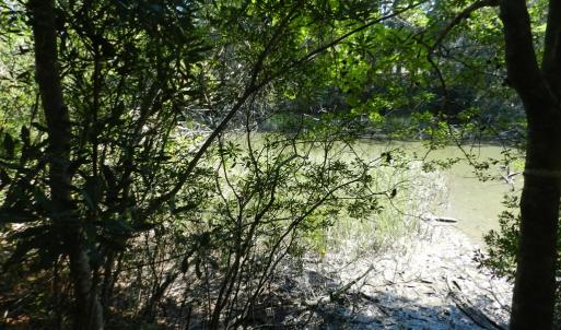 Photo #7 of Lot 13 WILSONIA SHORES DR, MACHIPONGO, VA 1.2 acres