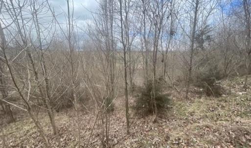 Photo #5 of LONG MEADOW RD, FISHERSVILLE, VA 0.3 acres