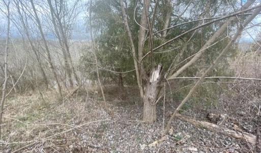 Photo #11 of LONG MEADOW RD, FISHERSVILLE, VA 0.3 acres